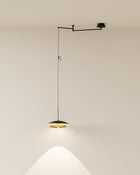 Louvre Pendant Light