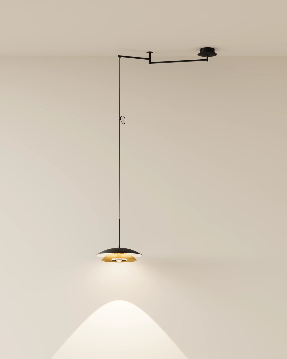 Louvre Pendant Light