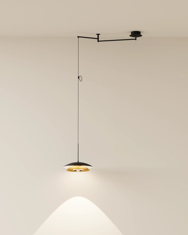 Louvre Pendant Light
