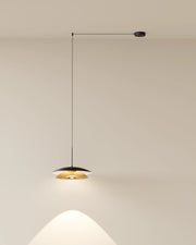 Louvre Pendant Light