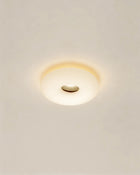 Jade Ceiling Light