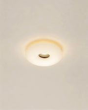 Jade Ceiling Light