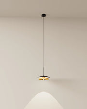 Louvre Pendant Light