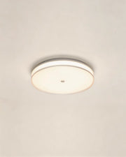 Jelly Ceiling Light