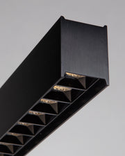 Asteria Pendant Light