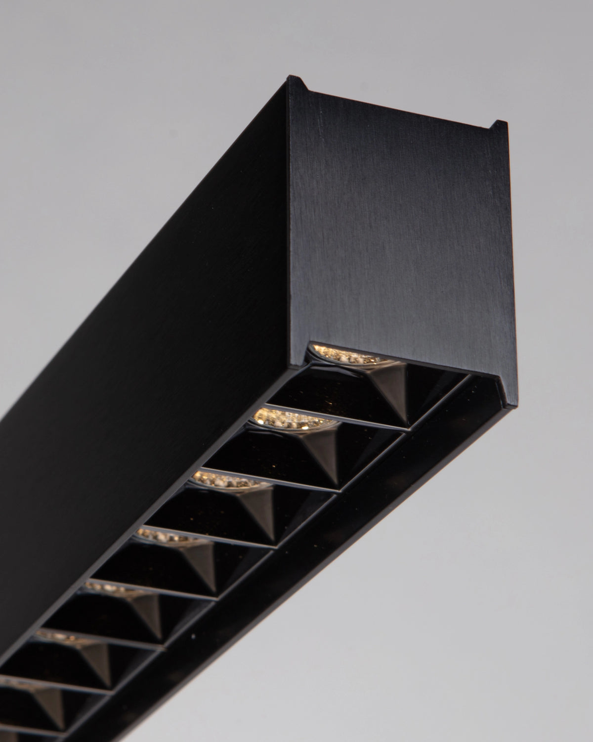 Asteria Pendant Light