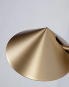 Ayla Wall Light