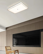 Jelly Ceiling Light