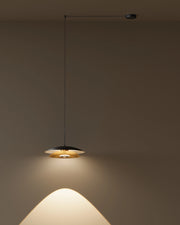 Louvre Pendant Light