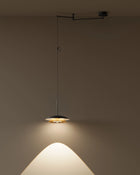 Louvre Pendant Light